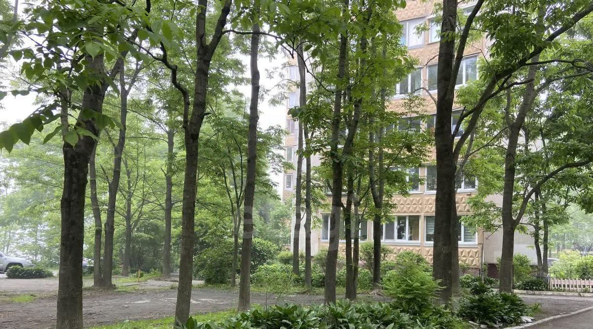 квартира г Владивосток р-н Ленинский 71-й микрорайон ул Ватутина 18 фото 35