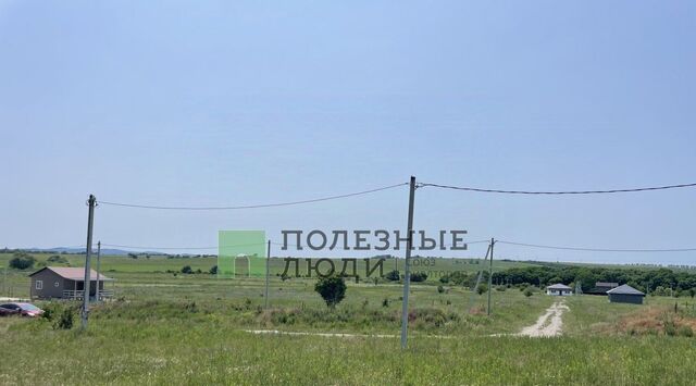 земля х Семигорский фото