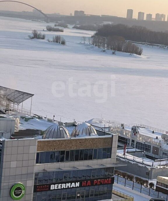 квартира г Новосибирск Речной вокзал ул Добролюбова 4 фото 19