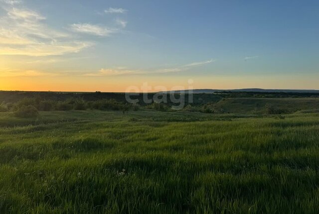 СНТ Урожай фото