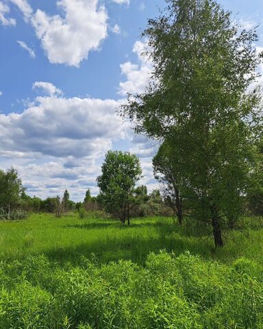 54 км, дп. Новгородово, Земляничная ул, Михнево, Новокаширское шоссе фото