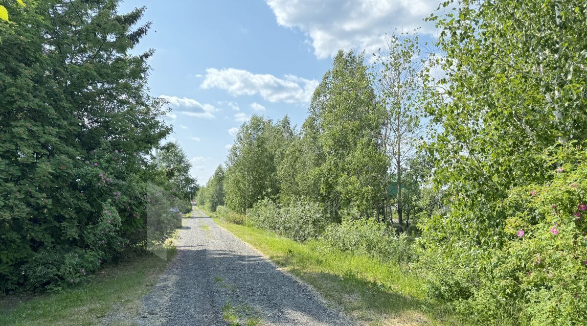 земля г Тюмень р-н Центральный снт Факел фото 11