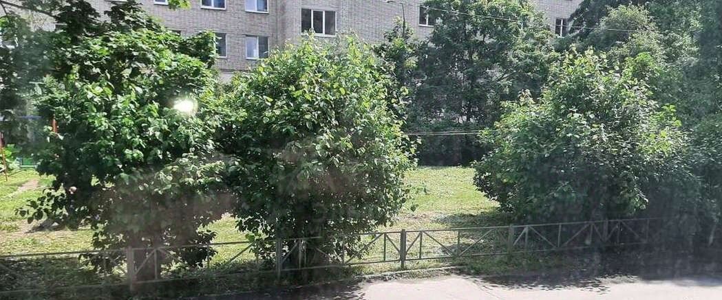 квартира г Великий Новгород ул Павла Левитта 4 фото 15
