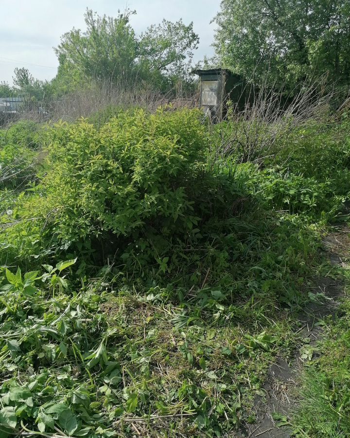 дом г Новокузнецк р-н Заводской ул Центральная Кемеровская обл. — Кузбасс, СНТ Запсибовец-2 фото 4