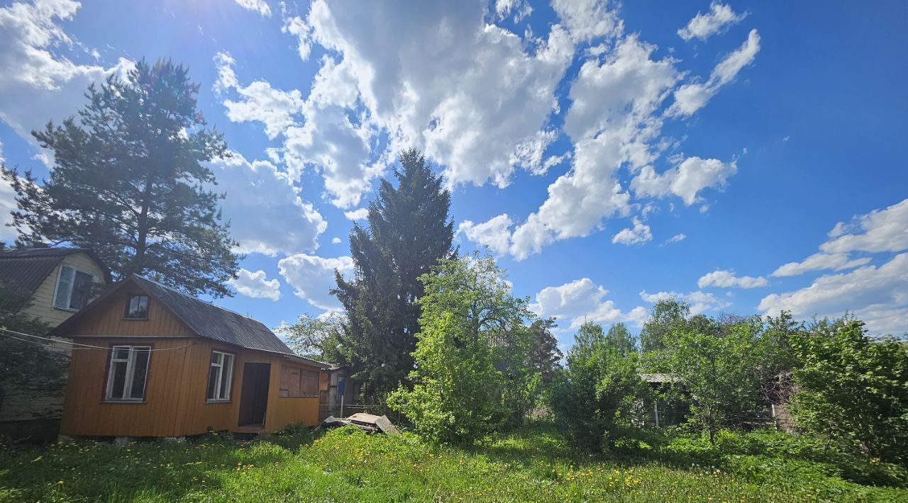 земля г Дмитров сад Искра 246, Орехово-Зуевский городской округ фото 15