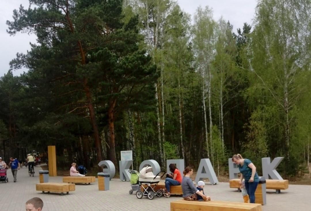 квартира г Челябинск р-н Курчатовский ул 40-летия Победы 3 фото 5