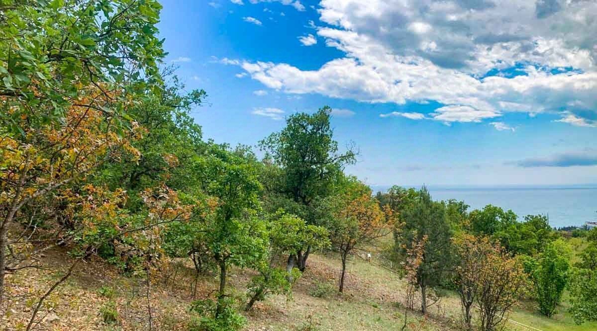 земля г Алушта с Приветное фото 4