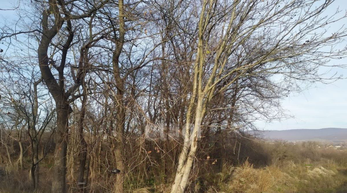 земля г Новороссийск ст-ца Натухаевская фото 3