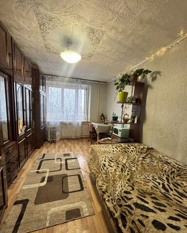 комната метро Проспект Просвещения дом 24к/3 фото