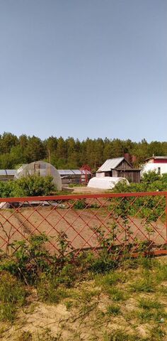 снт Нефтяник 167, Красновишерск фото