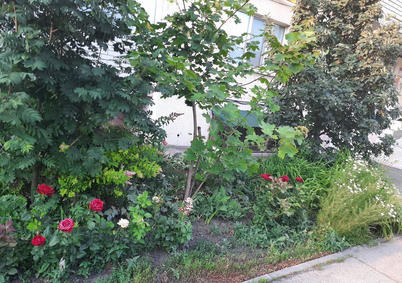 квартира г Саратов р-н Кировский ул им Зарубина В.С. 53/57 фото 24