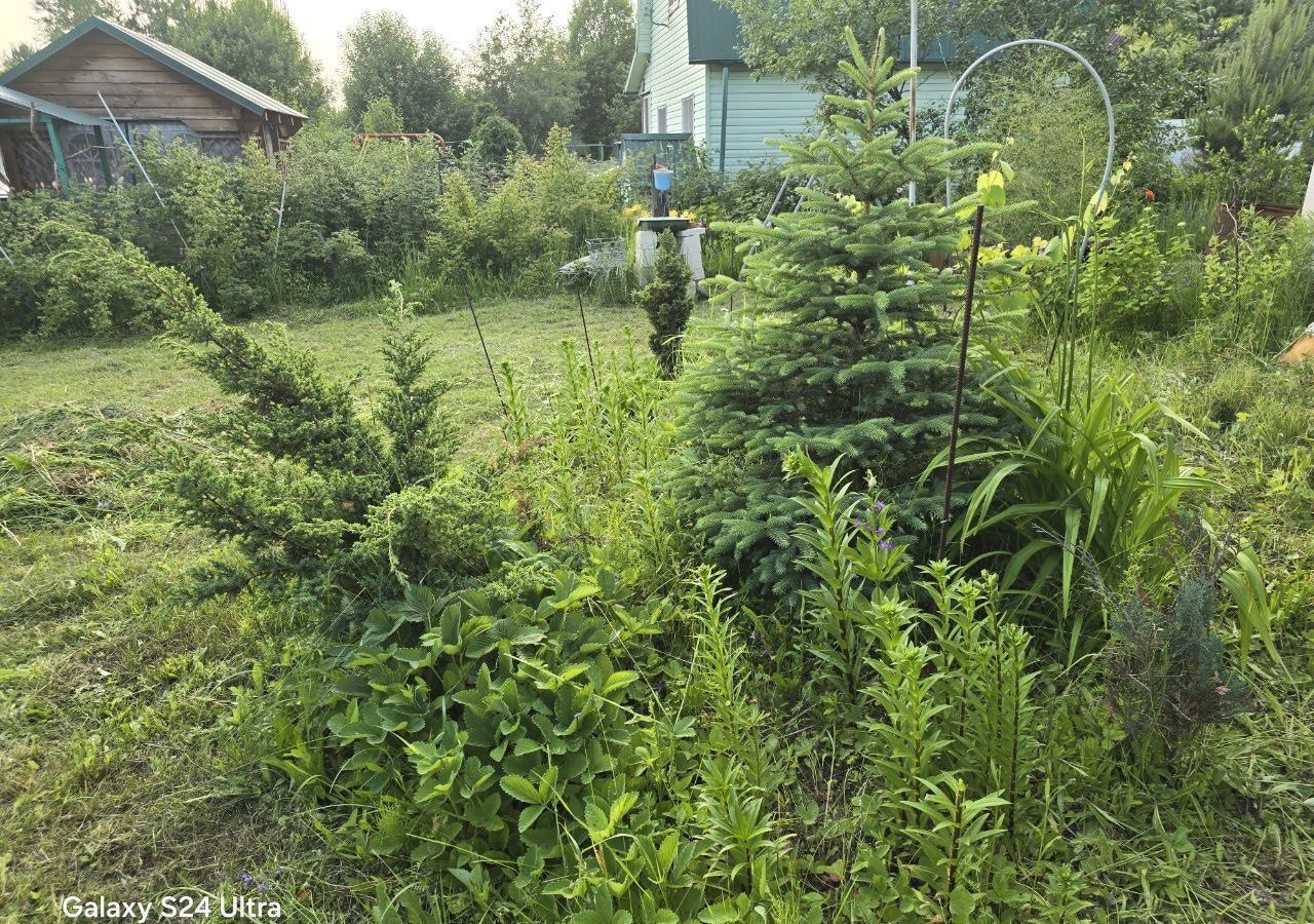 дом р-н Богородский г Богородск тер Садоводческое товарищество Урожай 42 д. Берёзовка, Надежда фото 13