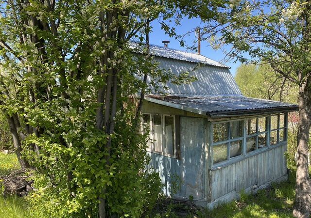 снт тер.Юбилейный 43 фото