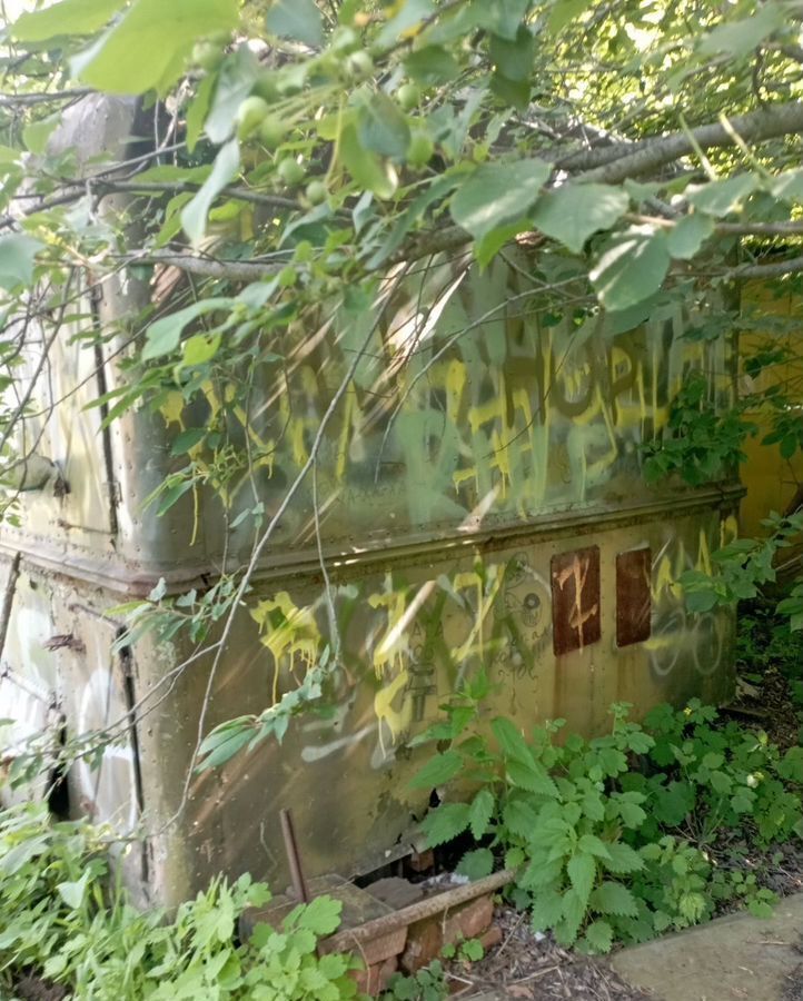 гараж г Новосибирск р-н Октябрьский ул Выборная фото 3