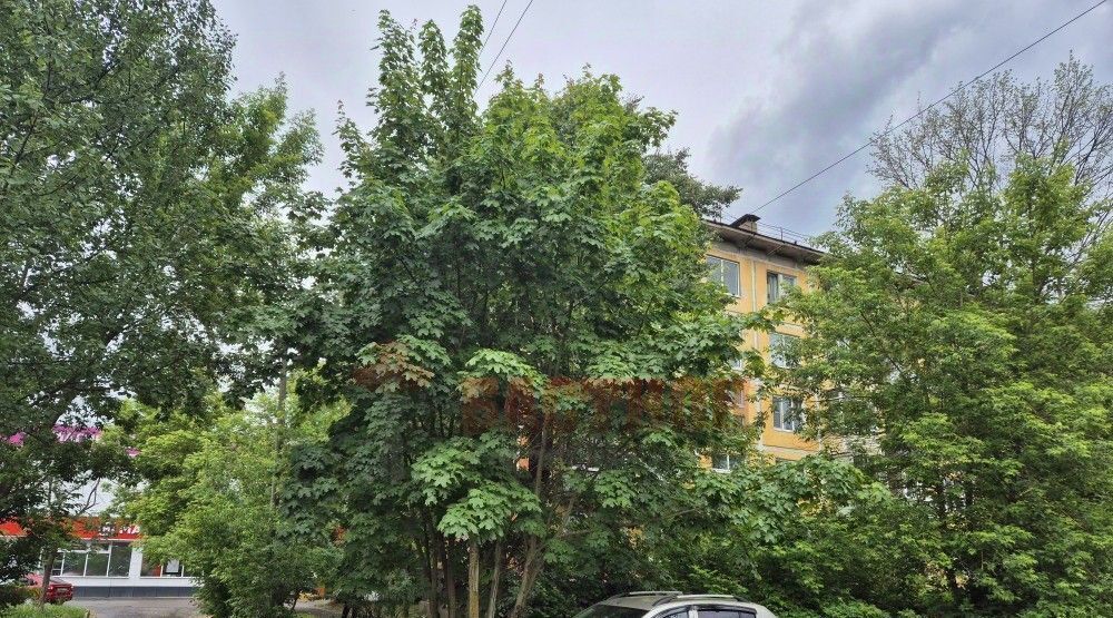 квартира городской округ Богородский г Ногинск ул Чапаева 18 фото 2