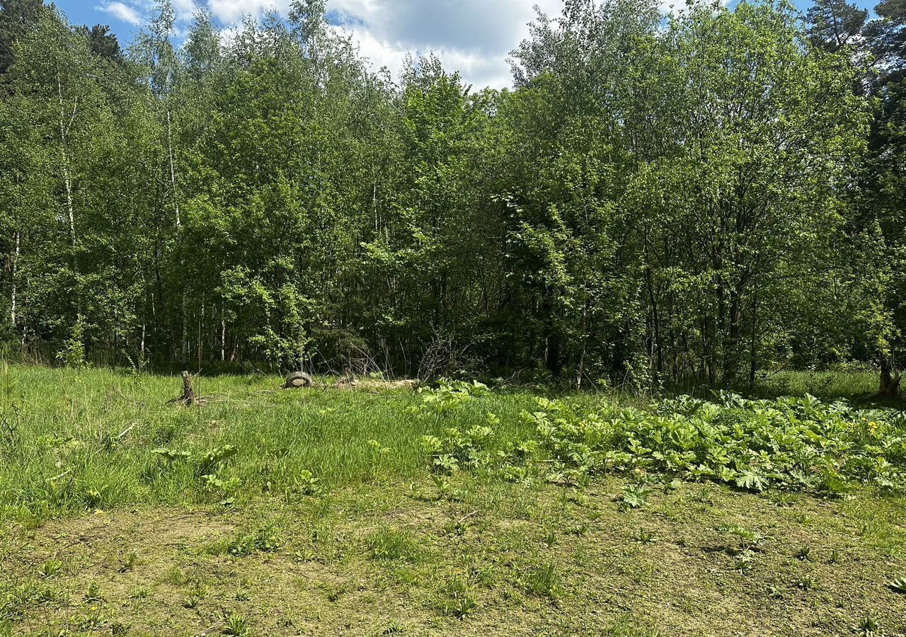 земля г Королев мкр Первомайский ул Кирова 99 13 км, Ярославское шоссе фото 3