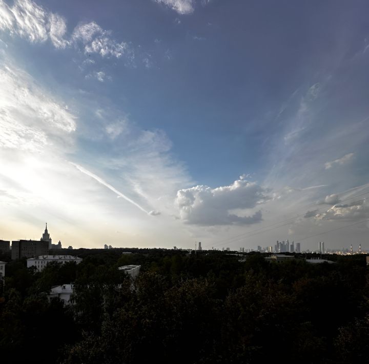 квартира г Москва метро Воробьевы горы пр-кт Ленинский 52 муниципальный округ Гагаринский фото 15