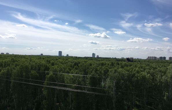 квартира г Челябинск р-н Курчатовский Парковый пр-кт Краснопольский 11 микрорайон «Парковый» фото 13