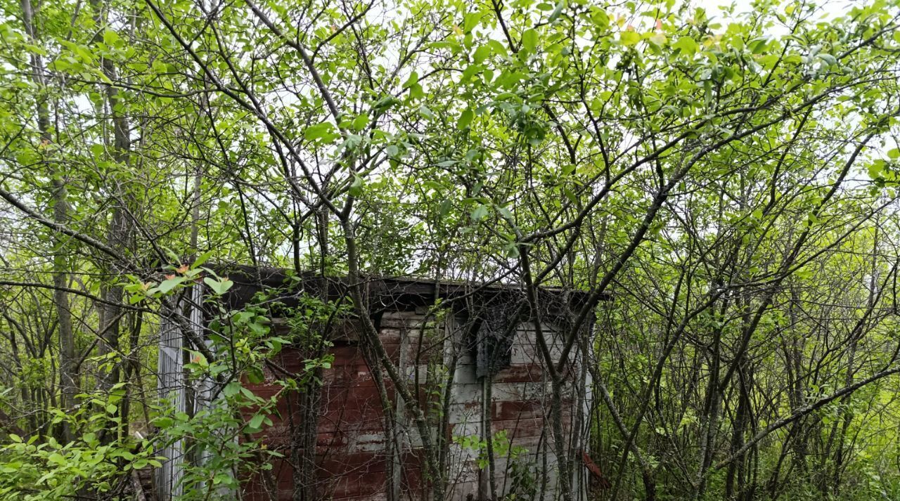 земля г Новоульяновск снт Ягодка фото 5