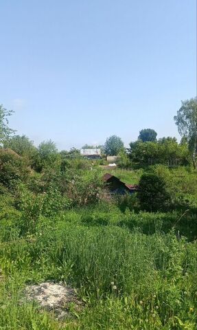 садовое товарищество Сибирский Садовод, Урожайная ул., 2А, Томск фото