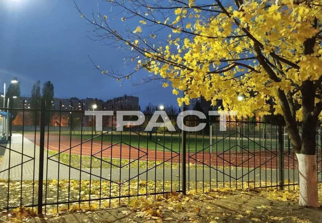 квартира г Воронеж р-н Коминтерновский пр-кт Московский 117а фото 1