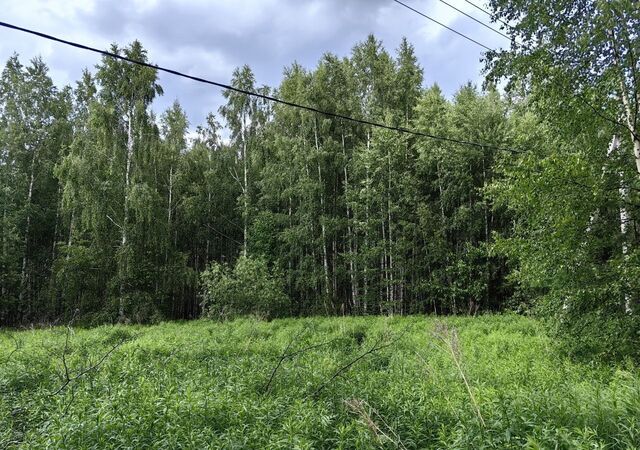 д. Фалино-Пестово, Чкаловск фото