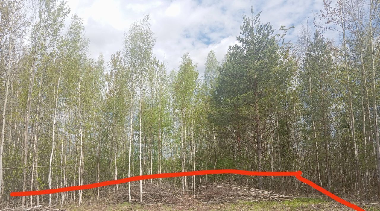 земля городской округ Богородский г Ногинск снт Олимп Железнодорожная фото 2