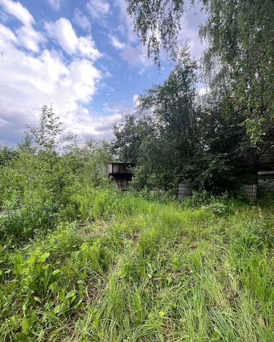 ул Огорхоз 17 км, г. о. Пушкинский, Ярославское шоссе фото