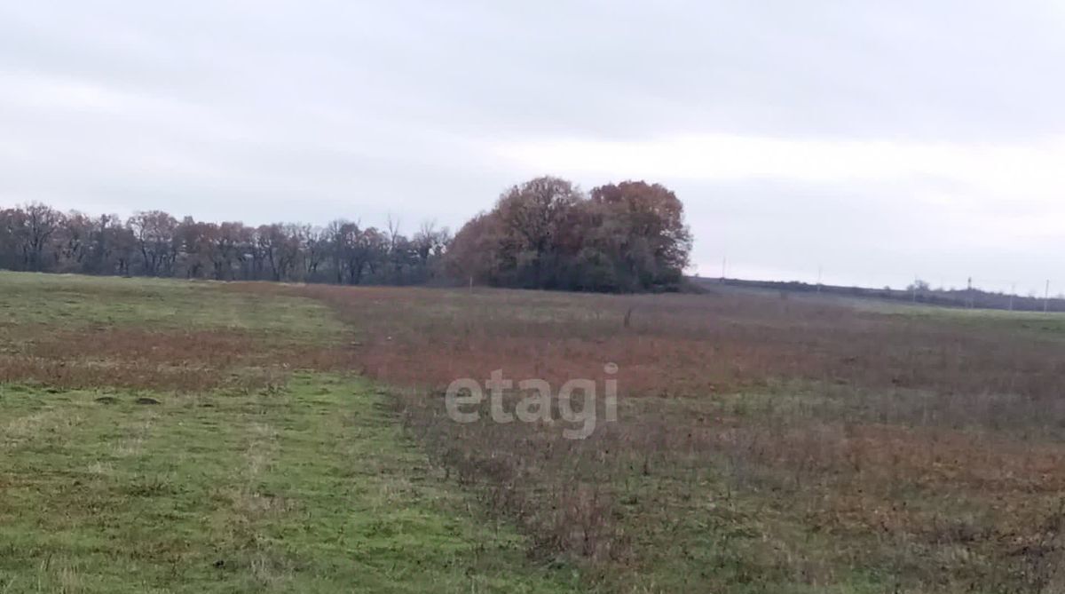 земля г Новороссийск ст-ца Натухаевская ул Имени Ивана Зимы 35 фото 9