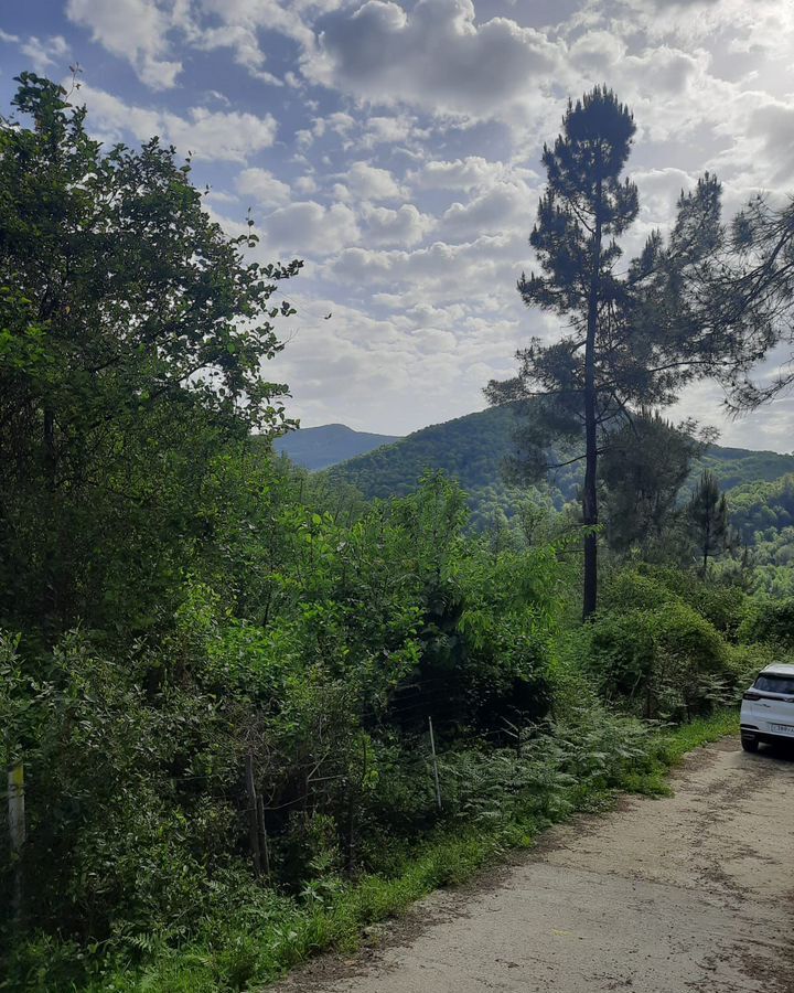 земля г Сочи р-н Лазаревский СТ Звёздный фото 2