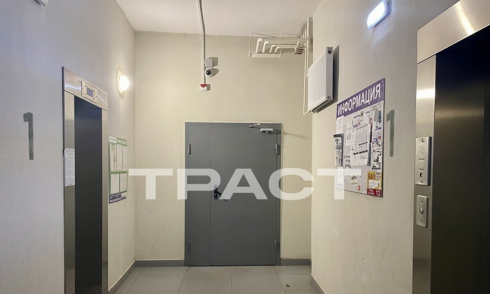 квартира г Воронеж ул Антонова-Овсеенко 35э фото 20