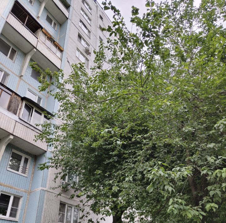 квартира г Москва метро Первомайская ул Чечулина 14 фото 16