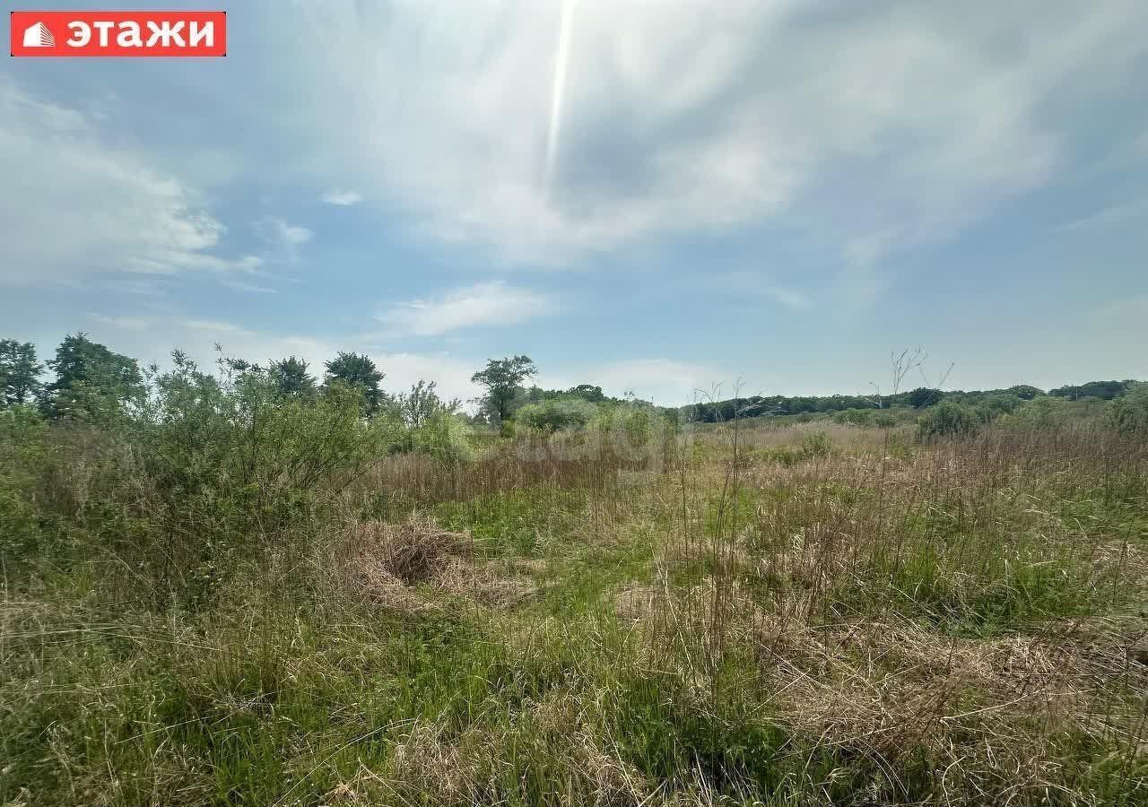 земля г Уссурийск с Борисовка фото 2