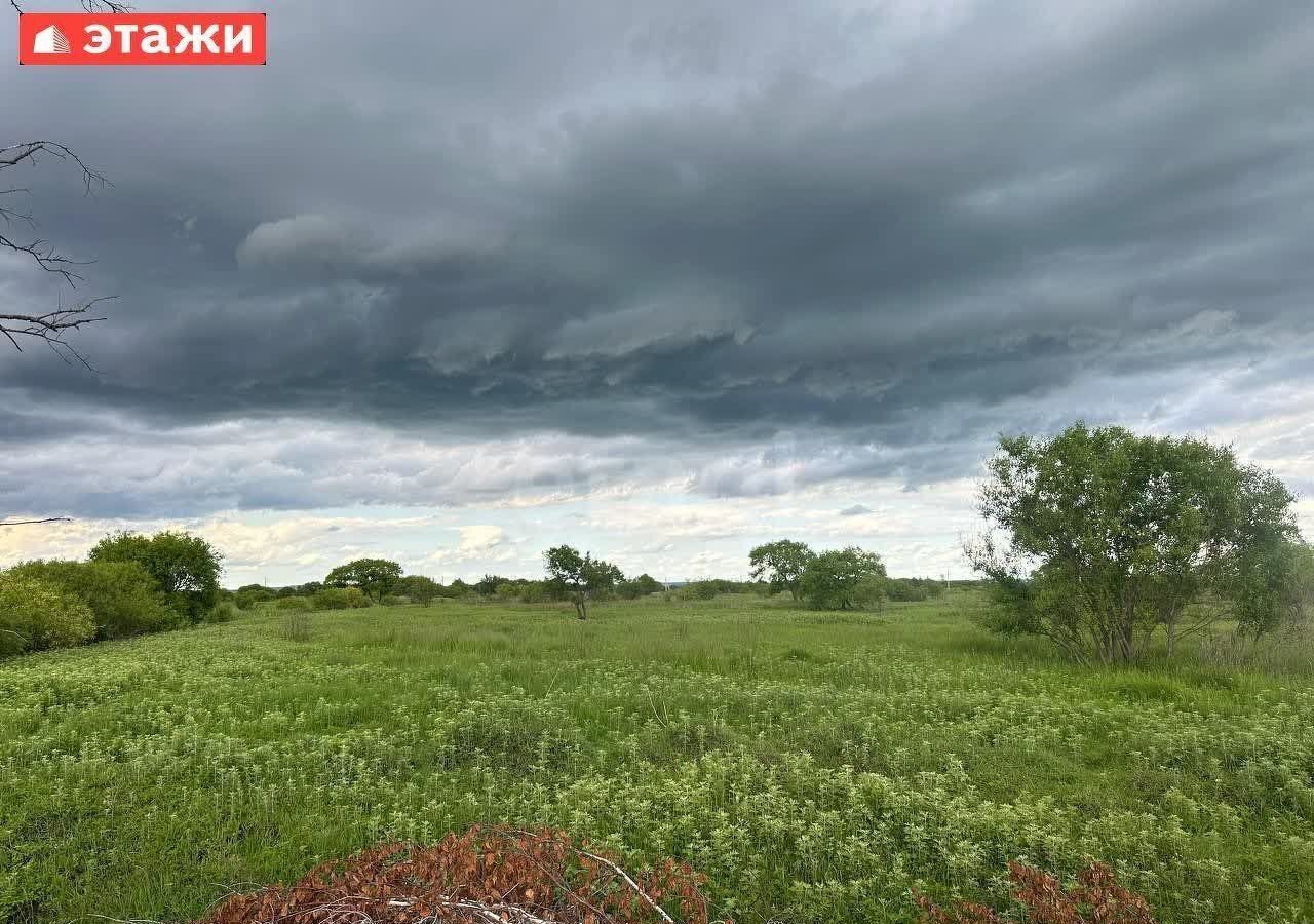 земля г Уссурийск СДТ Солнечный фото 4