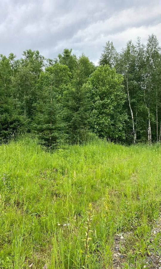 земля г Добрянка д Бобки загородный пос. Фэмили Парк Бобки-2, Пермь фото 2