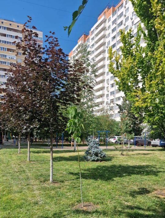 квартира г Краснодар р-н Прикубанский ул им. Героя Яцкова И.В. 18 фото 23