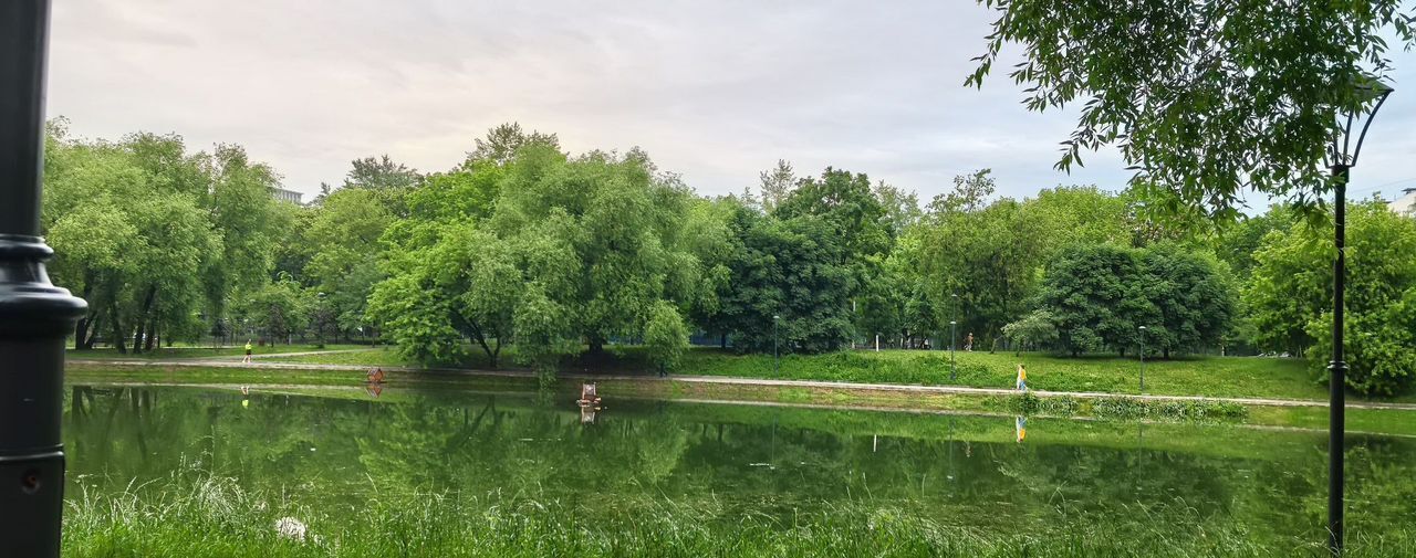 квартира г Москва метро Раменки пр-кт Мичуринский 52 фото 12