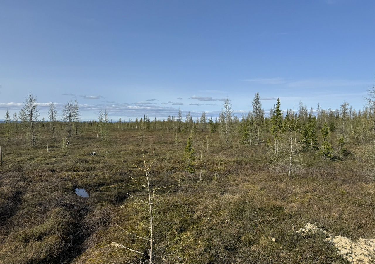 земля г Ноябрьск снт Надежда 11-й Лесной пр, Салехард фото 1