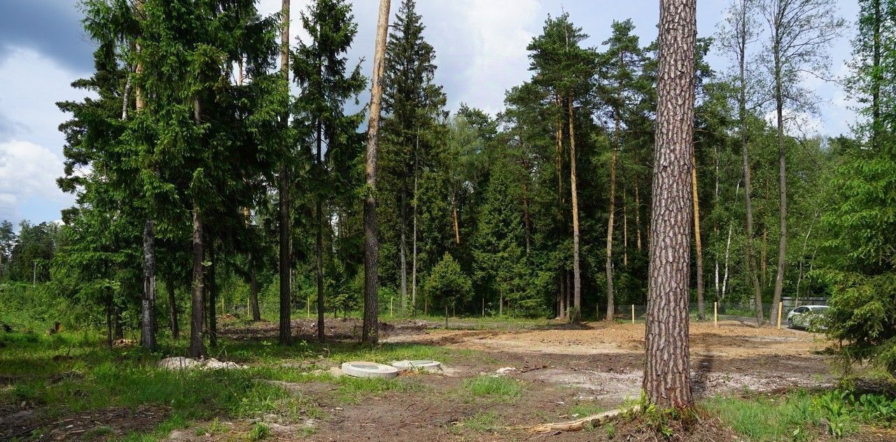 земля г Балашиха снт Восход Железнодорожная фото 5