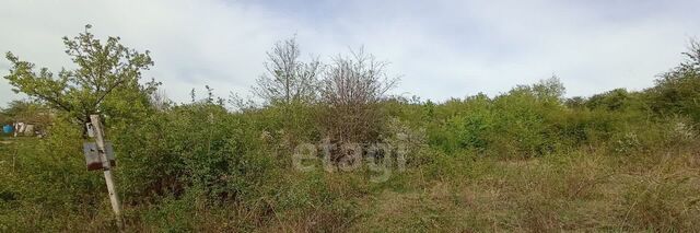 с пос, 240, Добровское фото