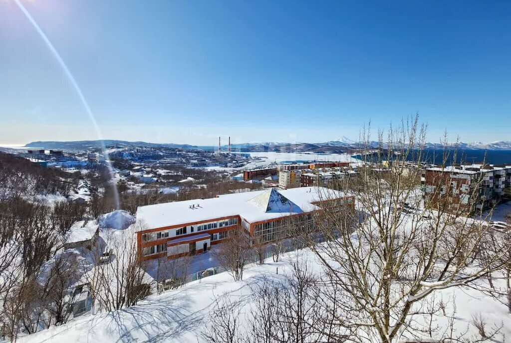 квартира г Петропавловск-Камчатский ул Пономарева 29 фото 9