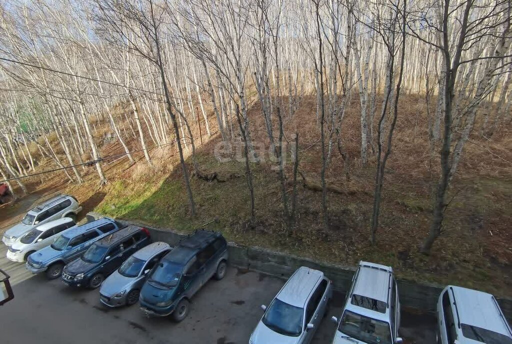 квартира г Петропавловск-Камчатский ул Дальняя 26/1 фото 23