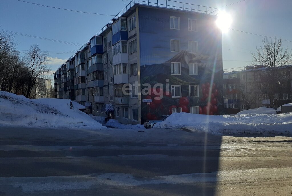 квартира г Петропавловск-Камчатский ул Чубарова 14 фото 9