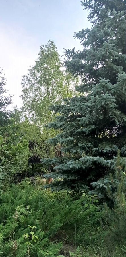 дом р-н Коркинский г Коркино д Дубровка ул Калинина 48 фото 23