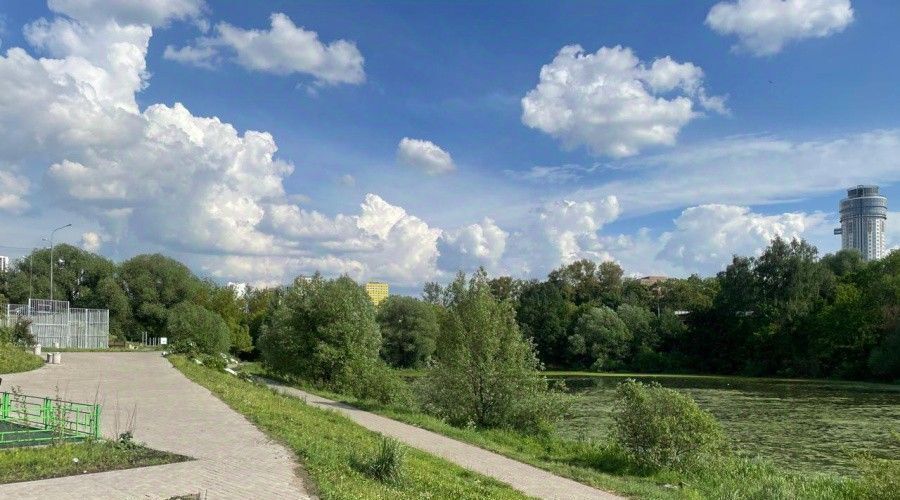 квартира г Химки пр-кт Ленинский 35к/3 Химки фото 23