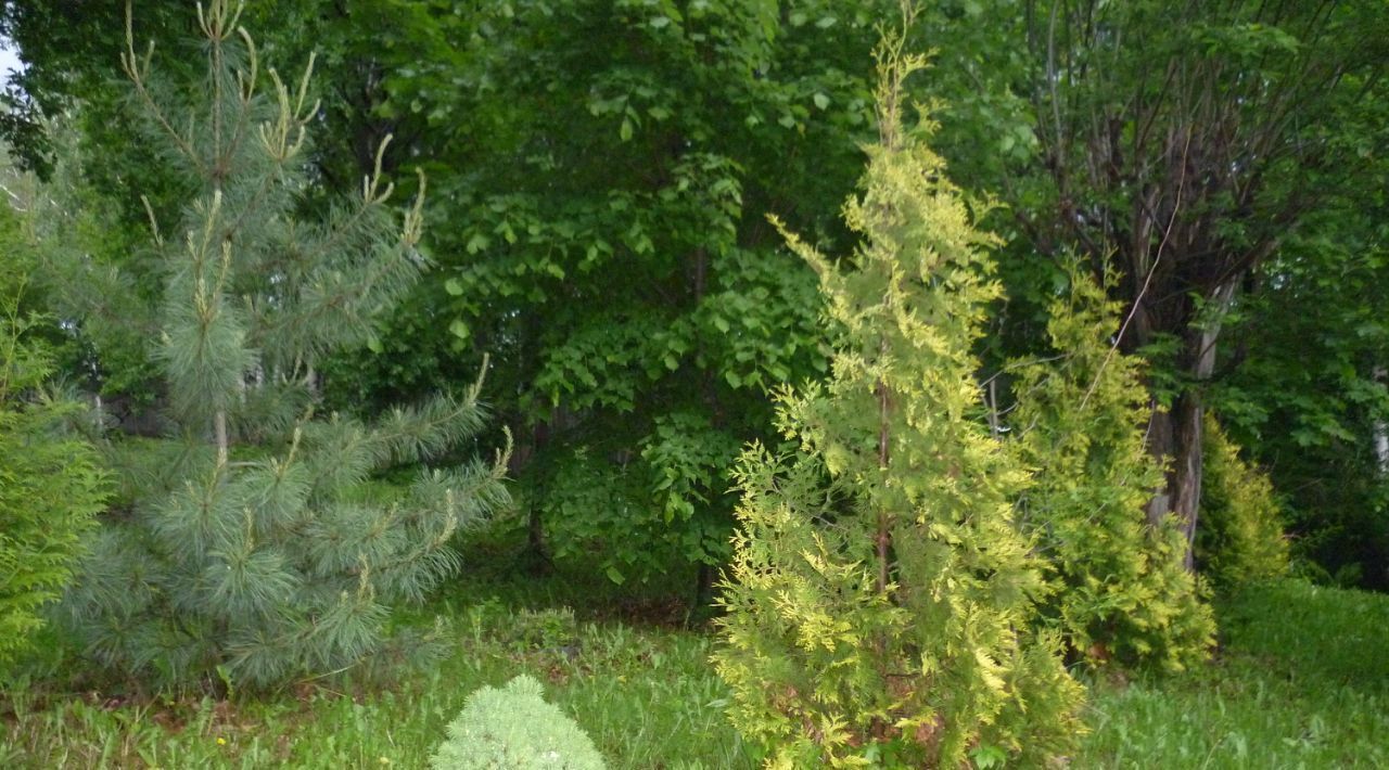дом г Нижний Новгород Подновье Горьковская, 75А фото 7