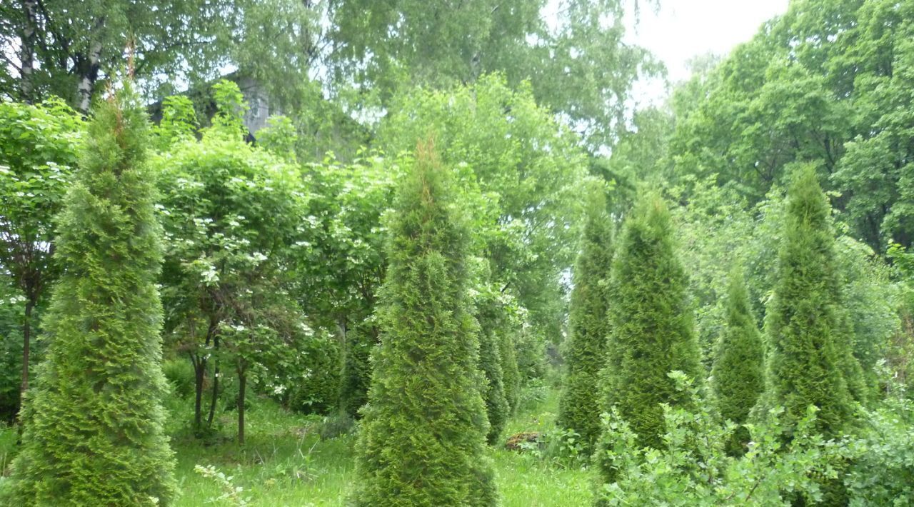 дом г Нижний Новгород Подновье Горьковская, 75А фото 15