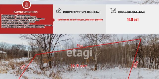 земля р-н Хабаровский с Краснореченское фото
