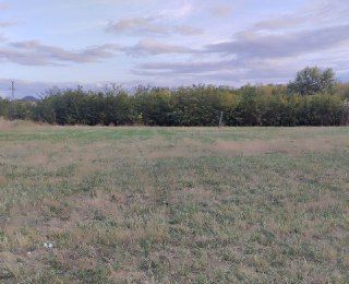 земля ул Краснооктябрьская Тихорецкое городское поселение фото