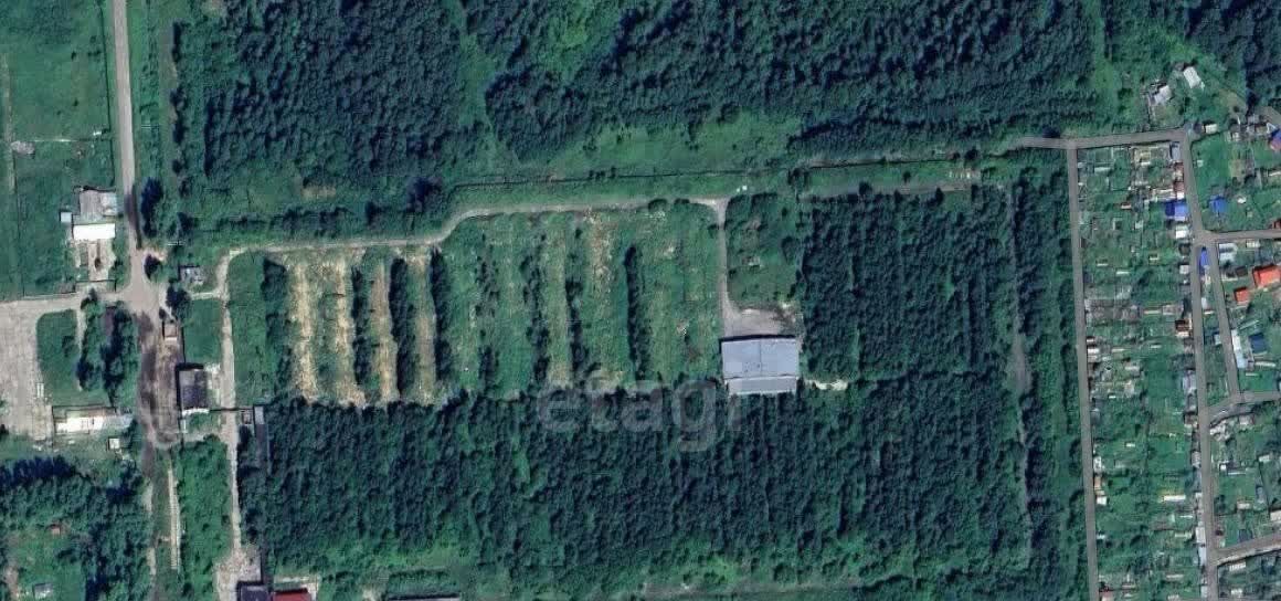 земля г Северск ул Тургенева фото 20